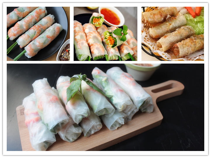 Vietnam spring roll